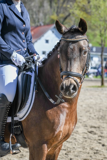 世南美预：阿根廷 - 巴西.
